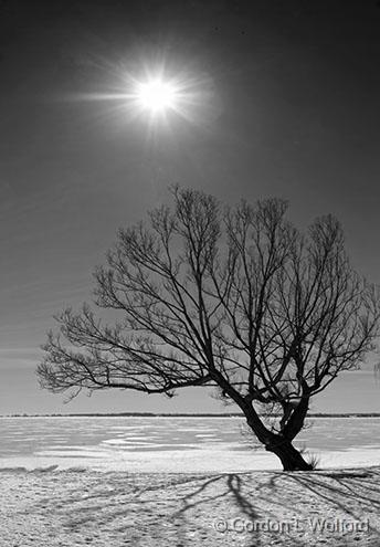 Frozen Lake Ontario_34049,51bw.jpg - Photographed at Amherstview, Ontario, Canada.